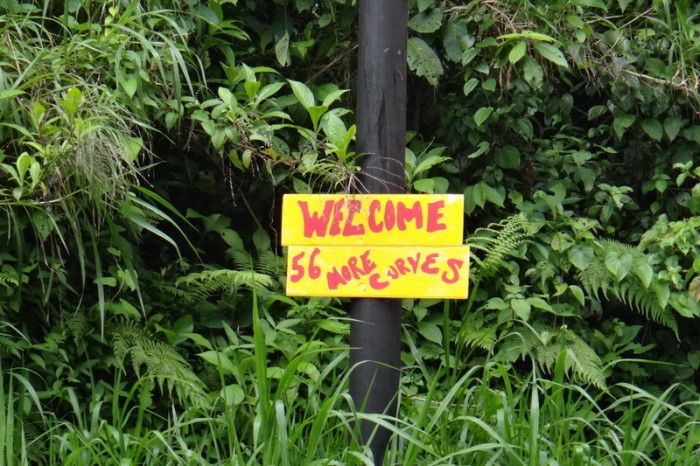 Toad Hall Creativity sign