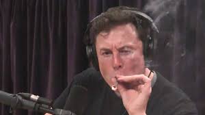 Elon toking